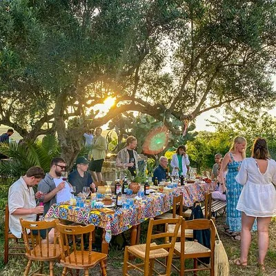 Wine, oil and honey tasting, from Alcamo and C/mmare Golfo