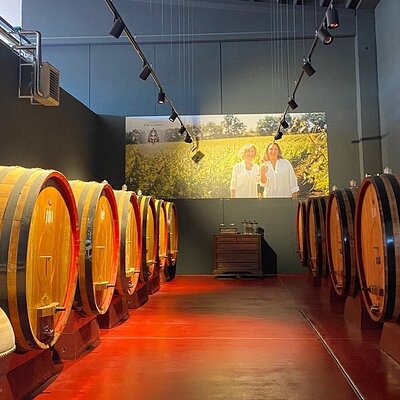 Visit and wine tasting 30 minutes from Pescara
