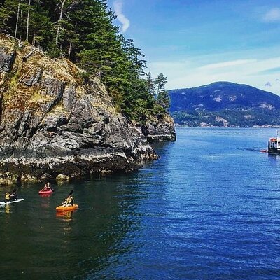 Morning Kayak & Seal Cruise in Vancouver