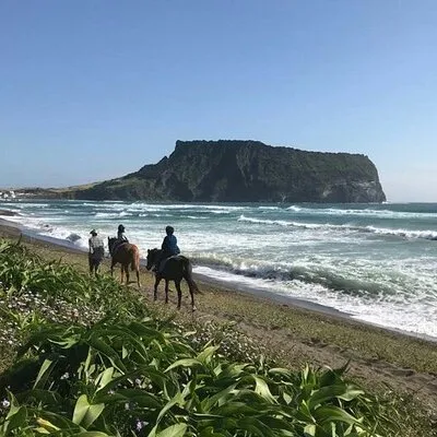 Daltrip