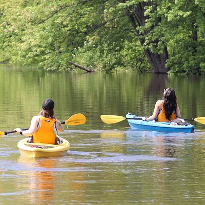 Ottawa Ecological Reserve Kayak Tour with TURTLE Sightings