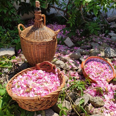 Rose Workshop & Leavening of Authentic Yoghurt
