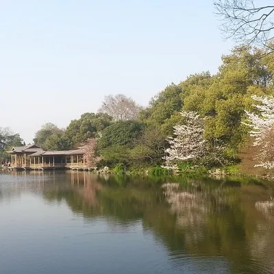 Taylor Made Hangzhou Wuzhen Private Tours