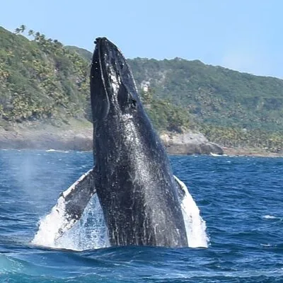 Caribbean Route