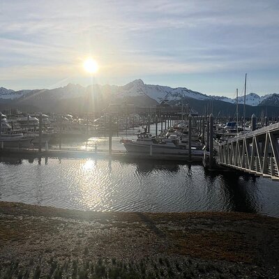 Up to 10 Person Seward to Anchorage Cruise Ship Transfer
