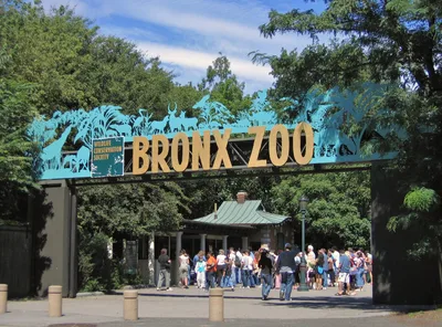 Bronx Zoo Admission Ticket with Unlimited Rides & Attractions
