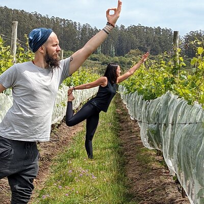 Yoga in vineyards and Brunch