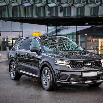 Luxury Private Transfer from Keflavik Airport to Reykjavik