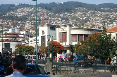 Madeira Eating, Wine and Food Walking Tour in Funchal