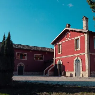 Visit and tasting at Erasmo Winery featuring signature wines