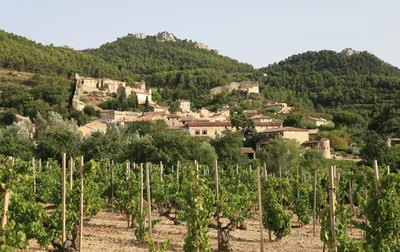 Provence Small-Group Half-Day Cru Wine Tour from Avignon