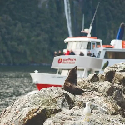 Milford Sound Extended Cruise with Southern Discoveries