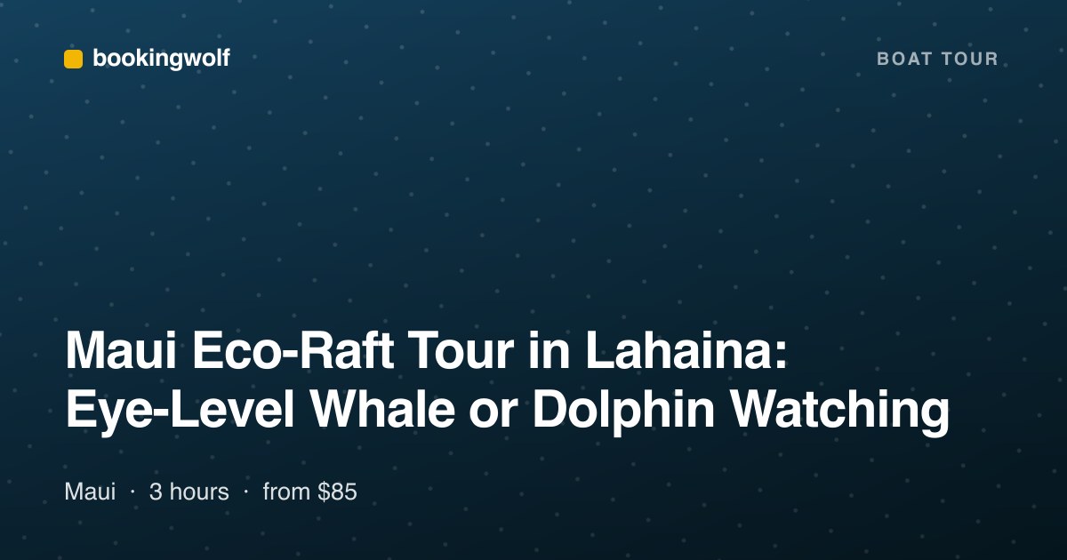 Maui Eco-Raft Tour in Lahaina: Eye-Level Whale or Dolphin Watching