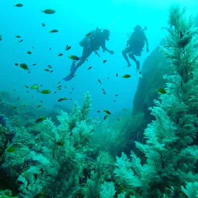 Fun Dives For Certified Divers