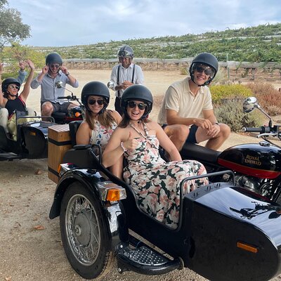 Scenic Sidecar Vineyard Tour Paso Robles