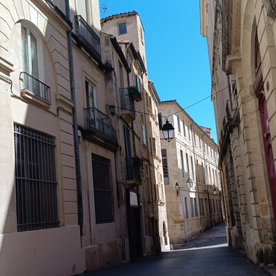 Explore Montpellier by bike-taxi on a 3-hour private trip
