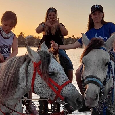 Crossing the Lagoon DE Djerba on Horseback an unforgettable breakaway