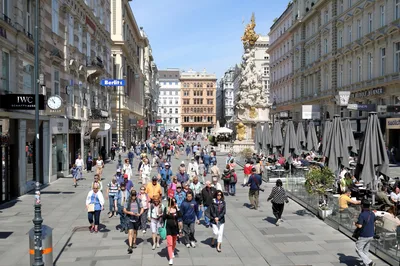 Vienna Food Tour for Food Lovers: Cafés, Markets & Austrian Cuisine in 6 Hours