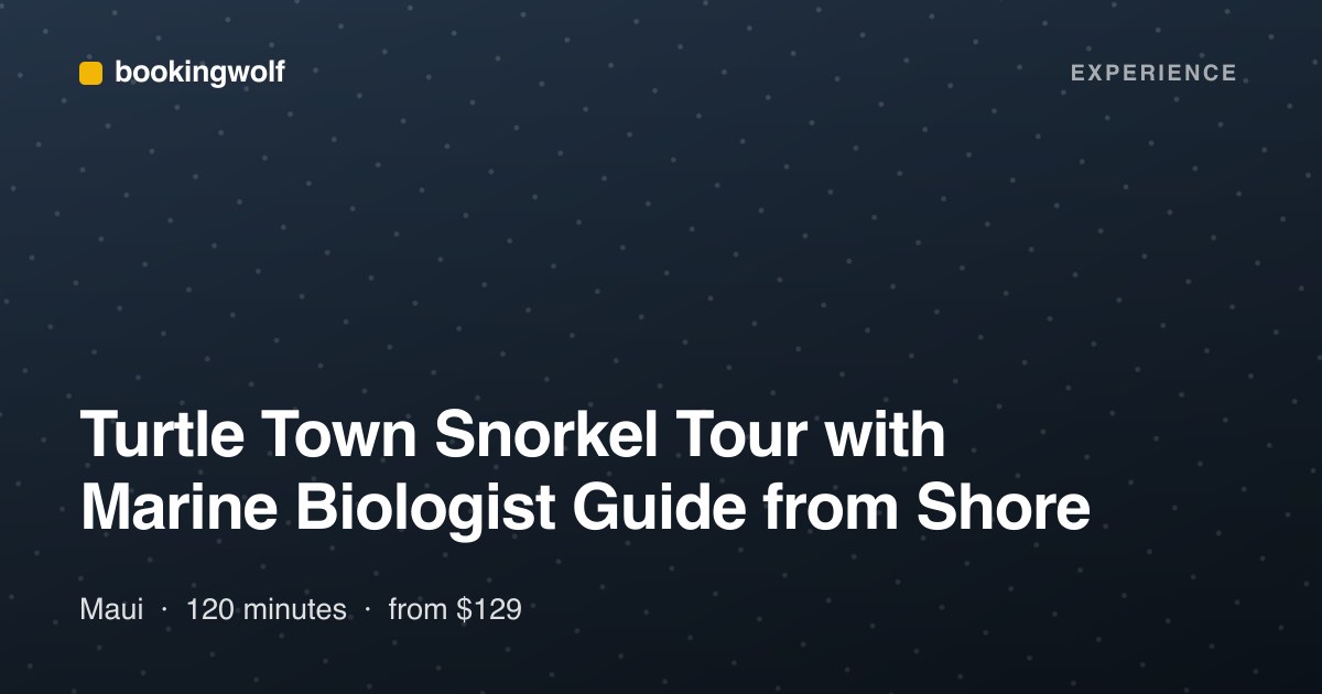 Turtle Town Snorkel Tour with Marine Biologist Guide from Shore