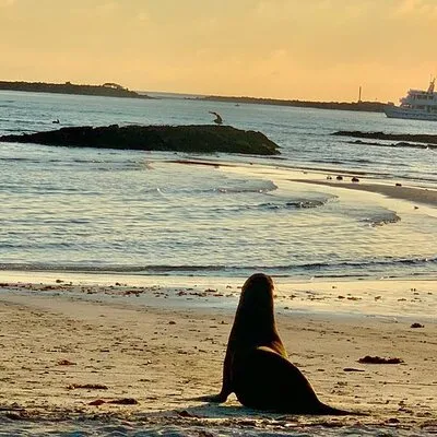 Isabela Island Tour in Galapagos with Kayak