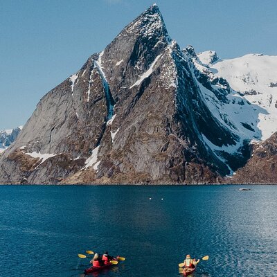 Explore Reinefjord by kayak (3 hours)