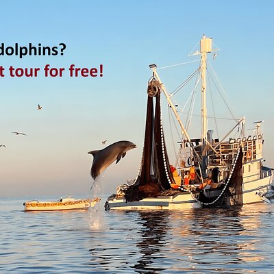 Sunrise Dolphins & Fishermen at Work speedboat tour in Rovinj