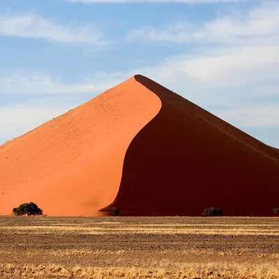 Wild Wind Safaris