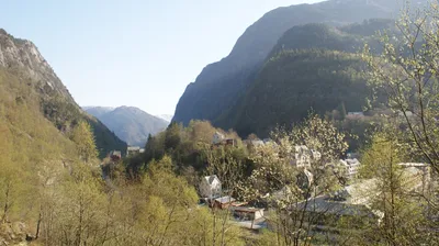 Guided Full-Day Tour from Bergen to Nærøyfjorden, Flåm and Stegastein Viewpoint with Electric Fjord Cruise