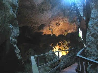 Capricorn Caves Cathedral Cave Tour in Queensland