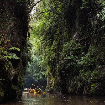 Daytime Canyon Kayak Tour