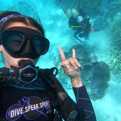 Dive Spear And Sport 1770
