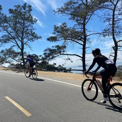 Road Bike Ride - designed for serious cyclists