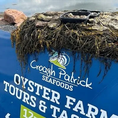 Oyster Farm Tour and Tasting by E-Bike