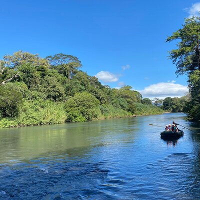 AFTER DARK RAINFOREST EXPERIENCES BY D H