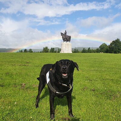 Bannockburn Battlefield Tour