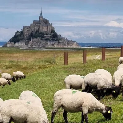 Savy Tours, visites du Mont Saint Michel