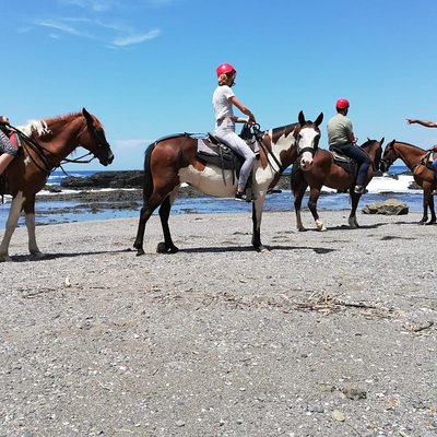 Horseback Riding in Playa Carrillo