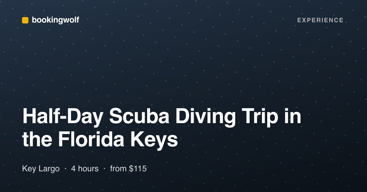 Half-Day Scuba Diving Trip in the Florida Keys