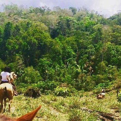 Jungle Splash Eco Tours