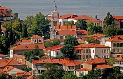 Full Day Private Kakheti Region Wine Tour from Tbilisi with Lunch and 3 Wine Tastings