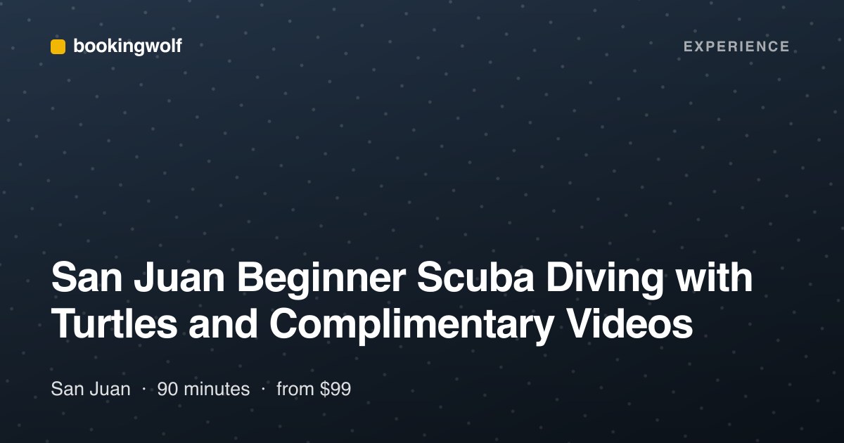 San Juan Beginner Scuba Diving with Turtles and Complimentary Videos