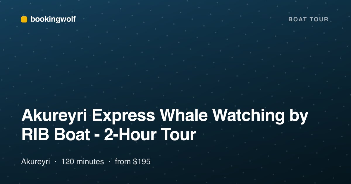 Akureyri Express Whale Watching by RIB Boat - 2-Hour Tour