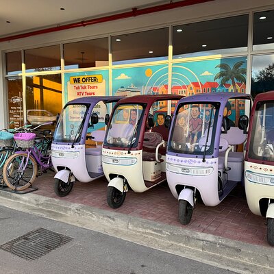 Eco Friendly TukTuk’s Arts and Historic City Tour & 5 hrs Rentals