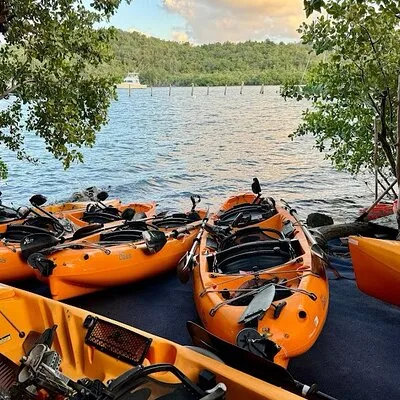 Guided Kayak Tour of Salt River Bay Ecology and History