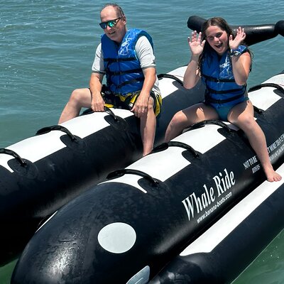 Orca Whale Inflatable Rides