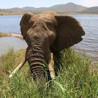 Wildside Tours and Safaris