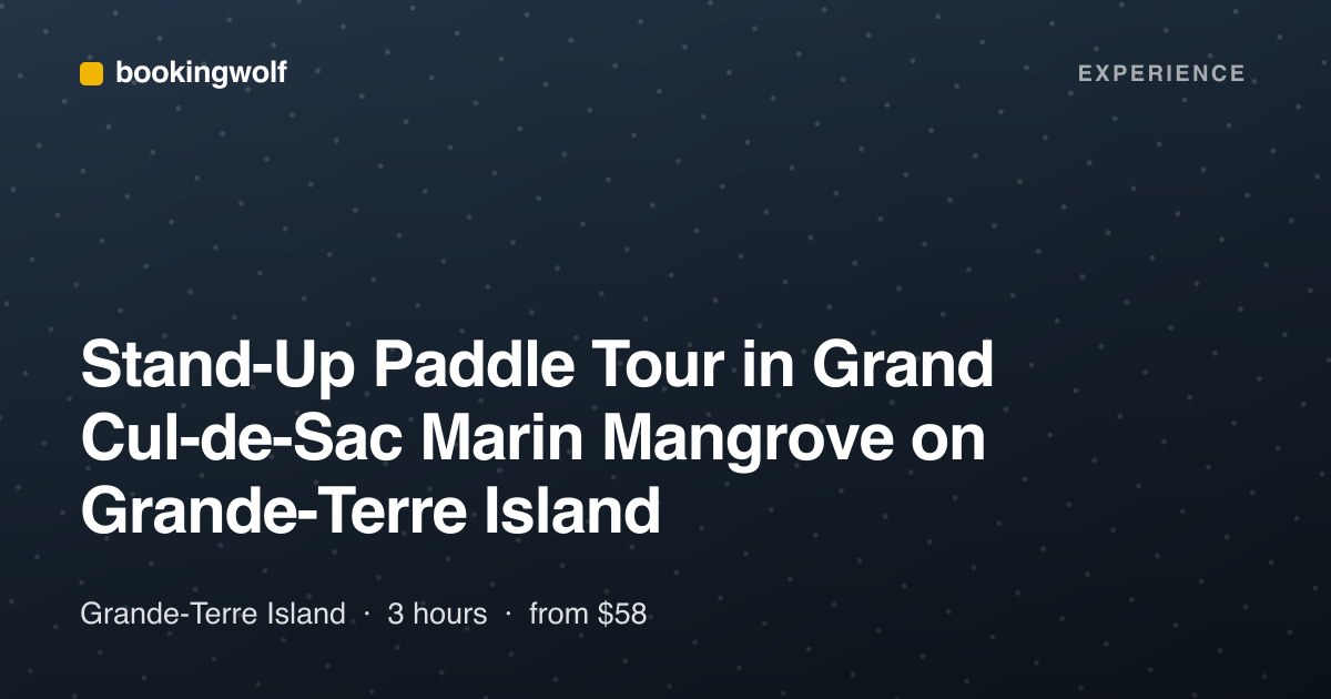Stand-Up Paddle Tour in Grand Cul-de-Sac Marin Mangrove on Grande-Terre Island
