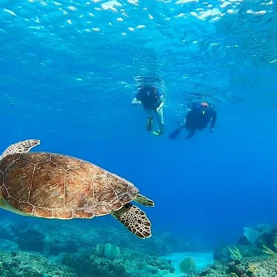 Snorkeling Adventure in Aguadilla