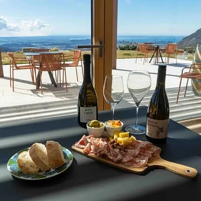 Tasting of Organic Mountain Wines with Vineyard and Cellar Tour