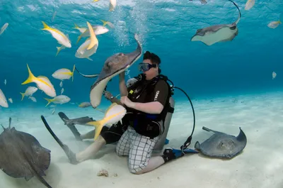 Stingray City Sandbar, Coral Gardens Snorkeling and Starfish Point Tour in Grand Cayman